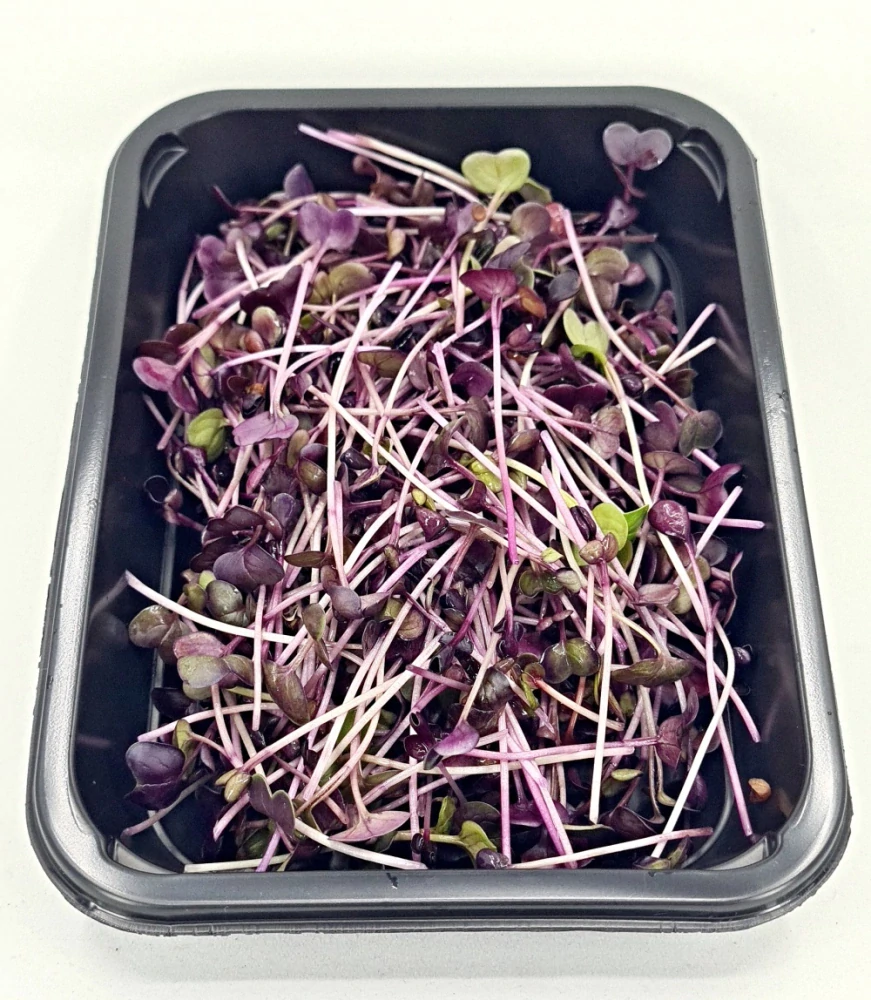 Ředkvička (Red Sango) 50g