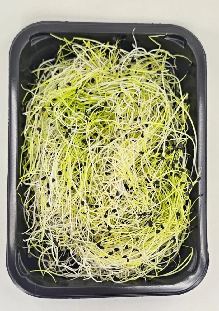 Česnek 50g
