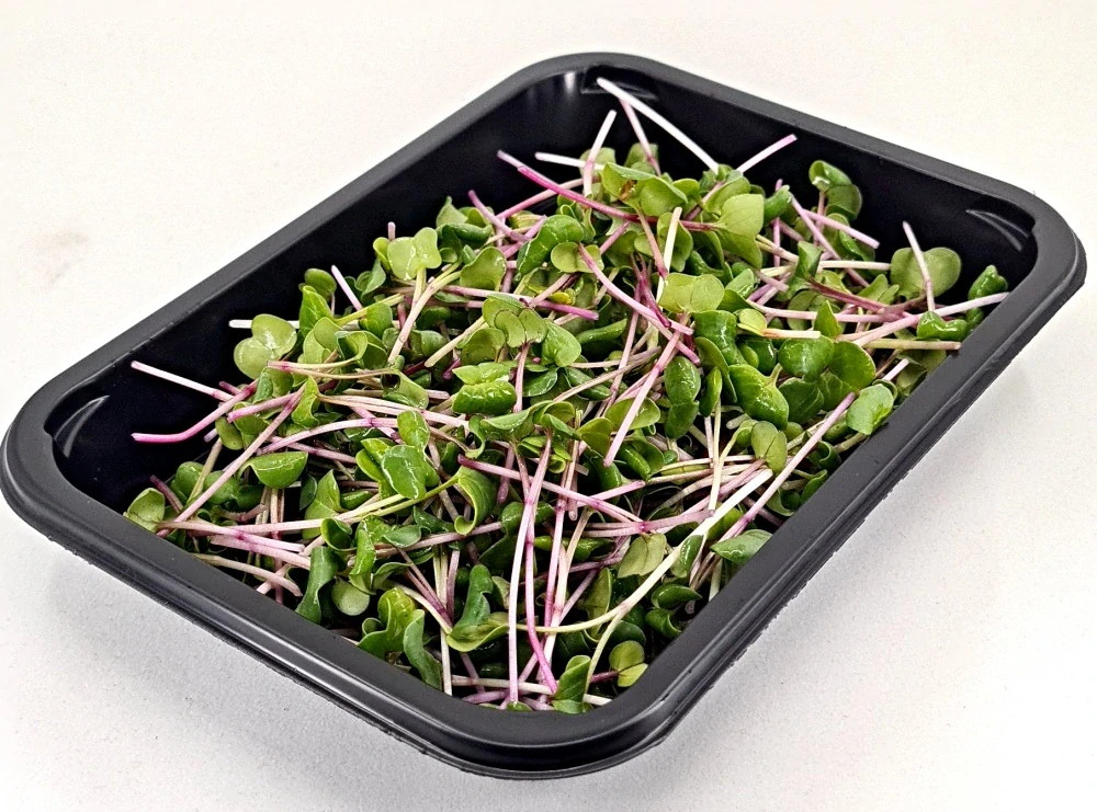 Ředkvička (China Rose) 50g
