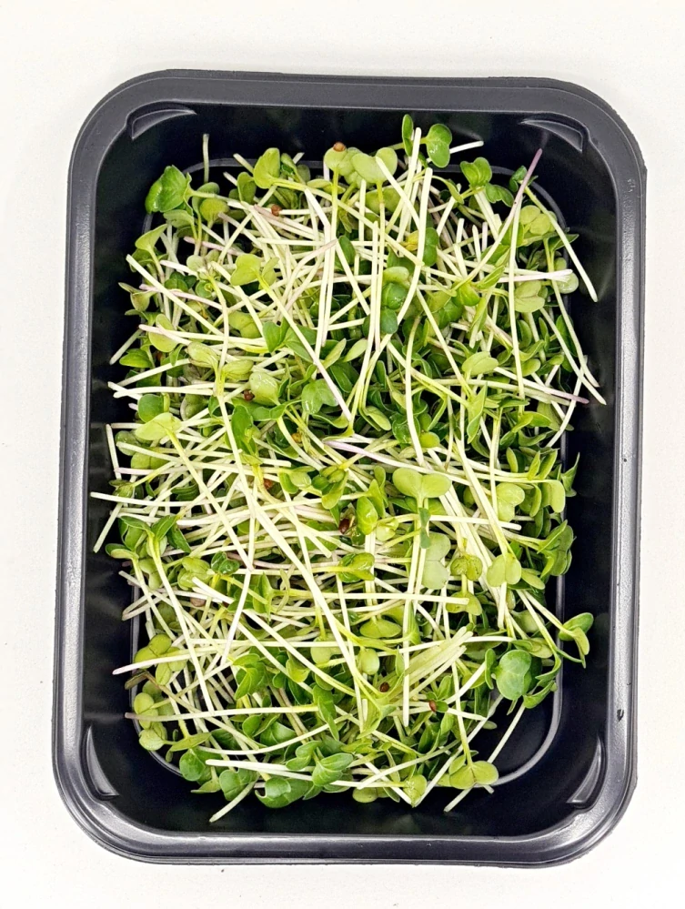Ředkvička (Daikon) 50g