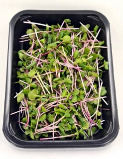 Ředkvička (China Rose) 50g