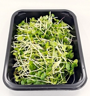 Ředkvička (Daikon) 50g